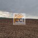 Teren 10.000mp Bacau, strada Alexandru Safran